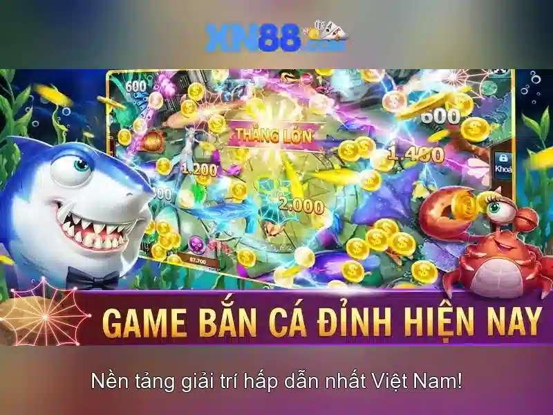 Giới thiệu về xn88