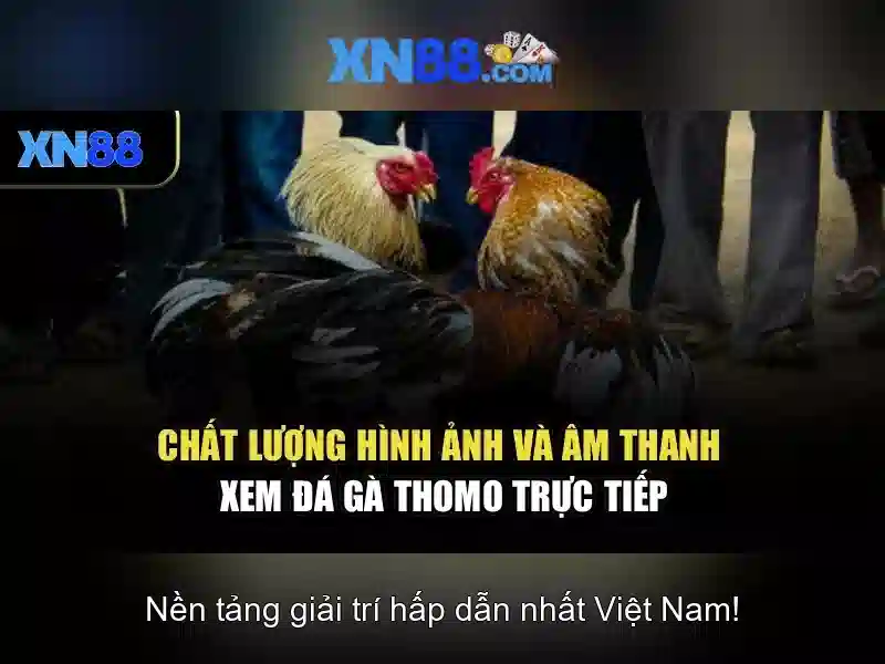 Giới thiệu về xn88\n