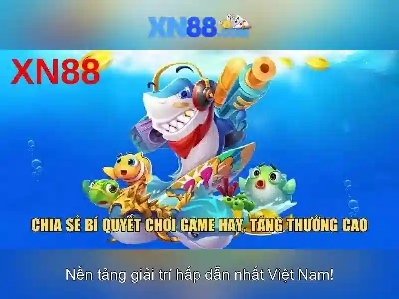 Hướng đi và tầm nhìn tương lai Hướng đi và tầm nhìn tương lai