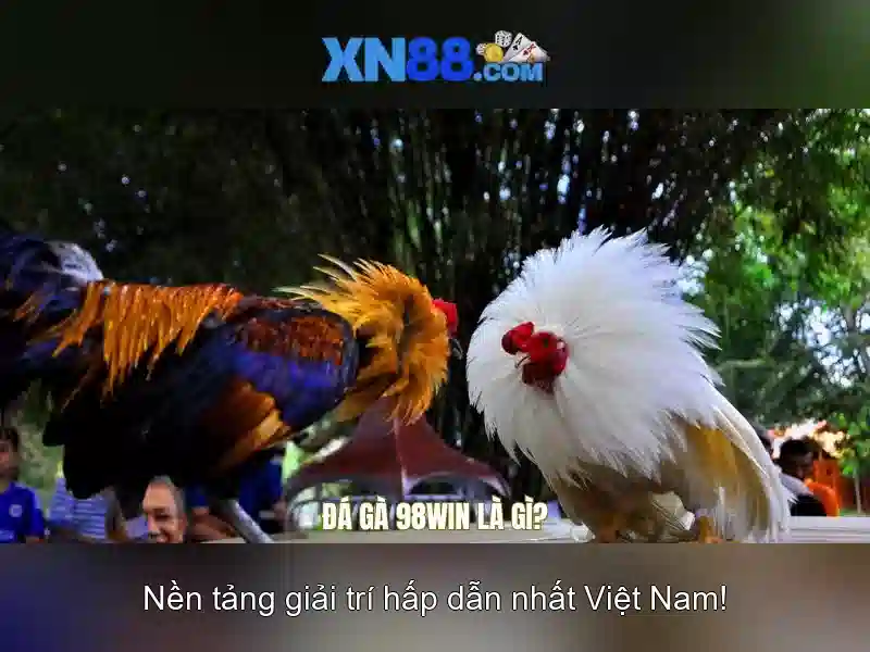Hướng dẫn bắt đầu và mẹo chơi