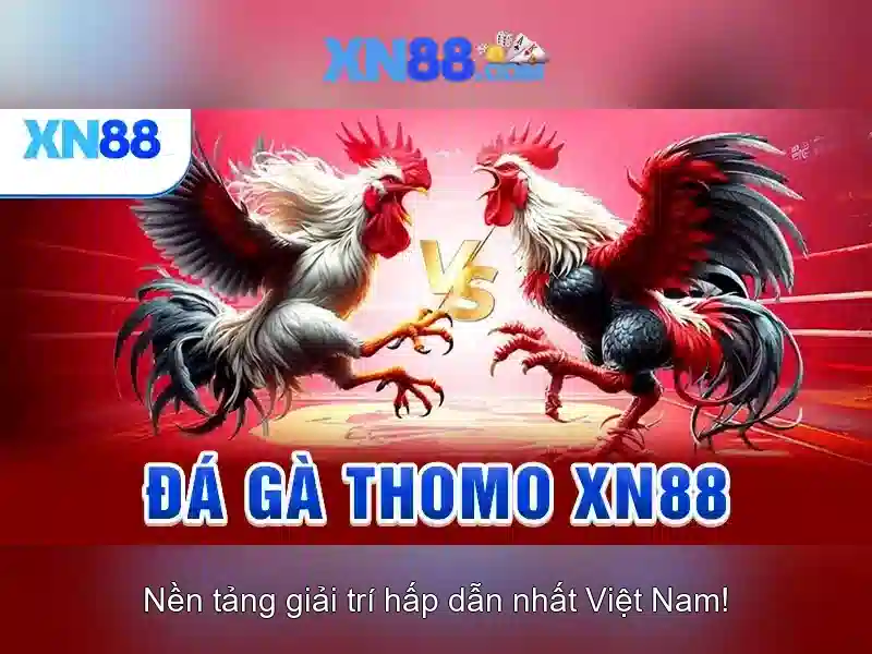 XN88: Đánh giá nền tảng cá cược trực tuyến tin cậy