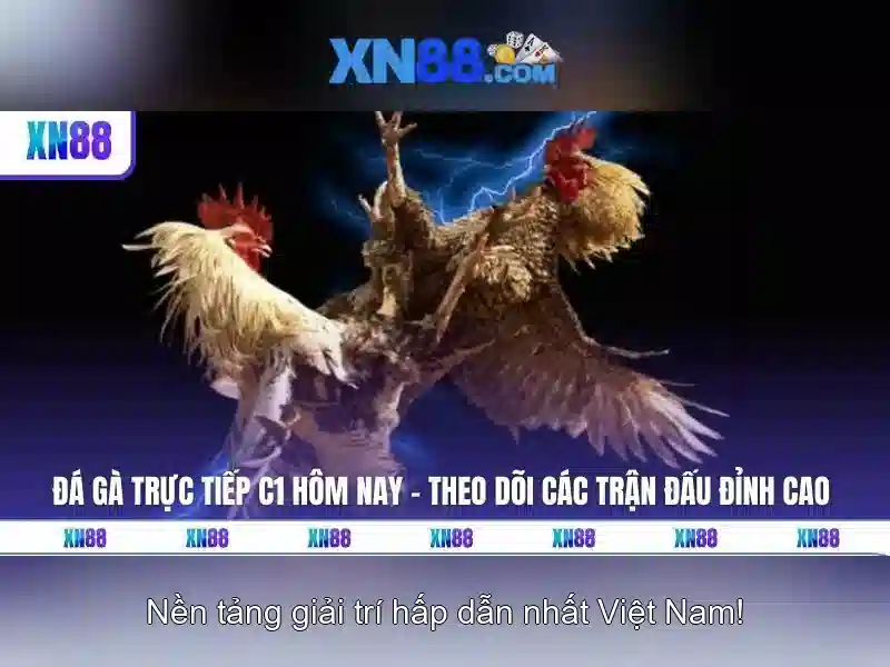 xn88: Nền tảng giải trí trực tuyến và những điều cần biết