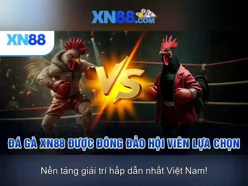 XN88: Nền tảng cược trực tuyến nổi bật