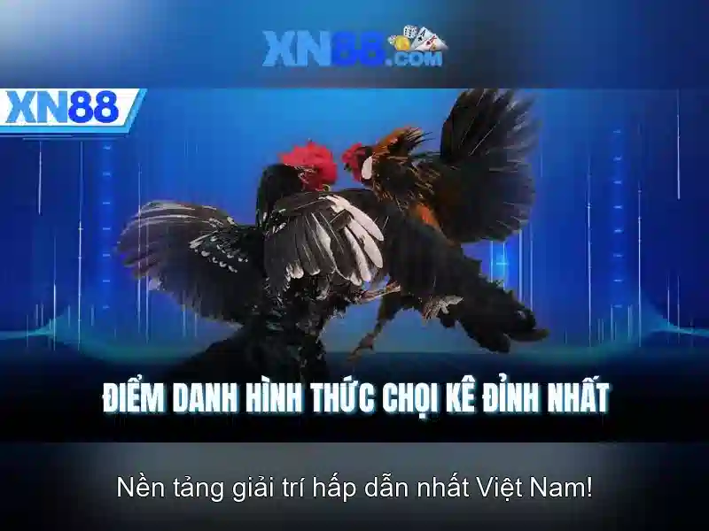 xn88: Tổng quan về một nền tảng trực tuyến