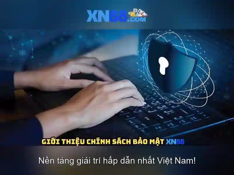 Góc nhìn tổng quan về xn88