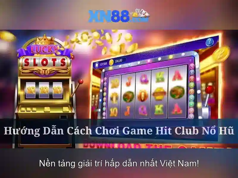 xn88: Đánh giá tổng quan về nền tảng cược trực tuyến