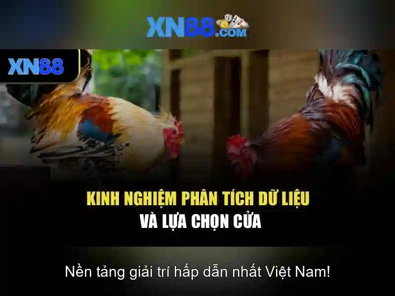 Các loại trò chơi có mặt trên xn88\n\n