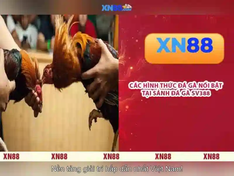 Các tính năng nổi bật của xn88 Các tính năng nổi bật của xn88
