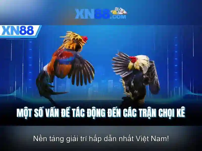 xn88: Nền tảng giải trí trực tuyến và hướng dẫn sử dụng