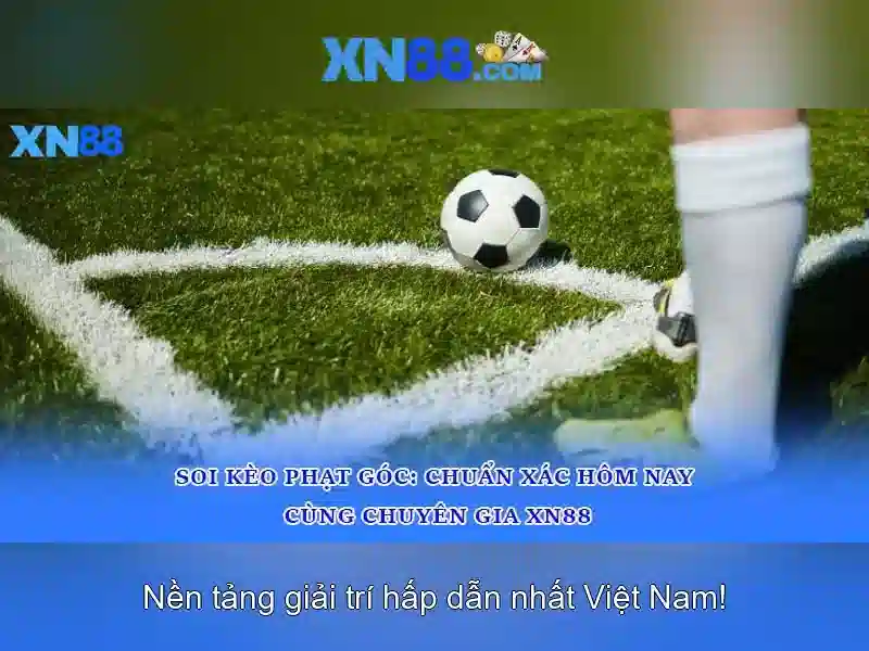 Sản phẩm và dịch vụ chính của tai ap xn88