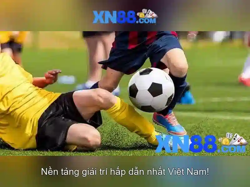 Các tính năng nổi bật