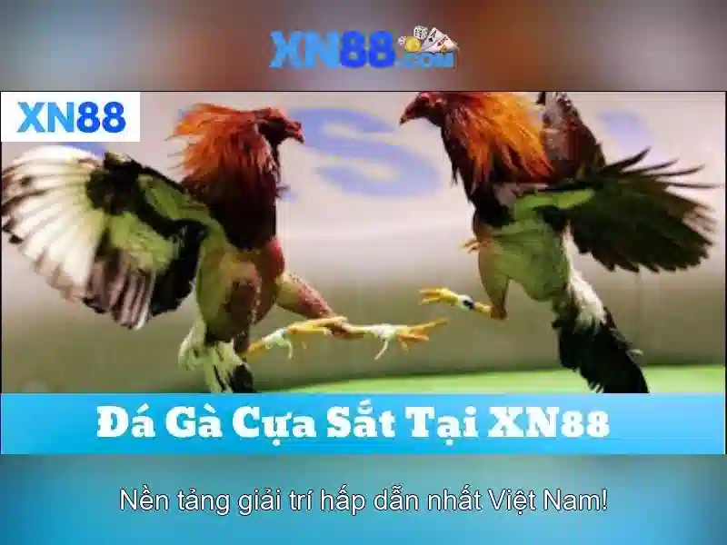 An toàn tài chính và bảo mật