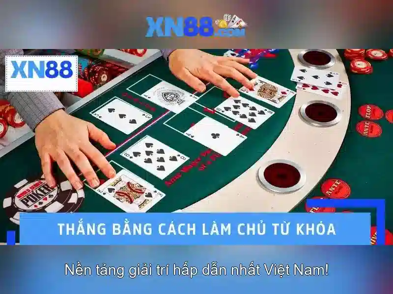 xn88: Đánh giá và Tổng quan