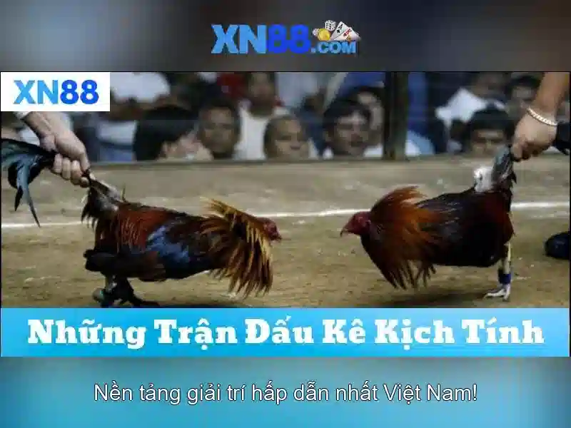 xn88: Nền tảng cược trực tuyến đáng tin cậy và an toàn