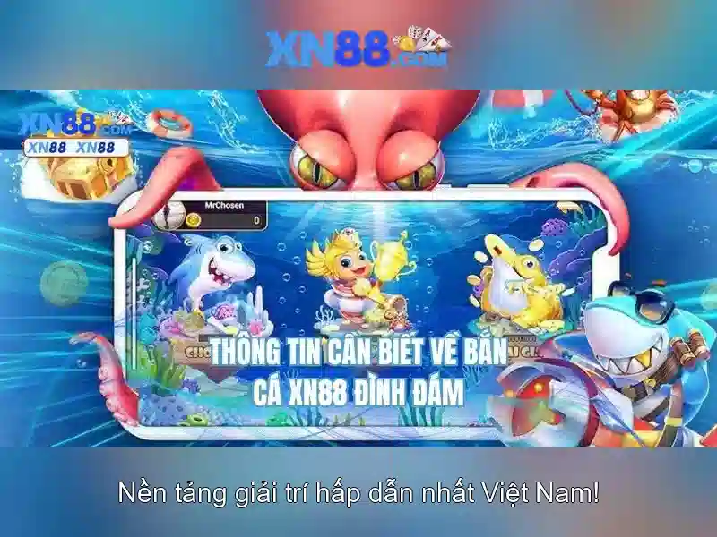 Kết luận và tương lai của xn88