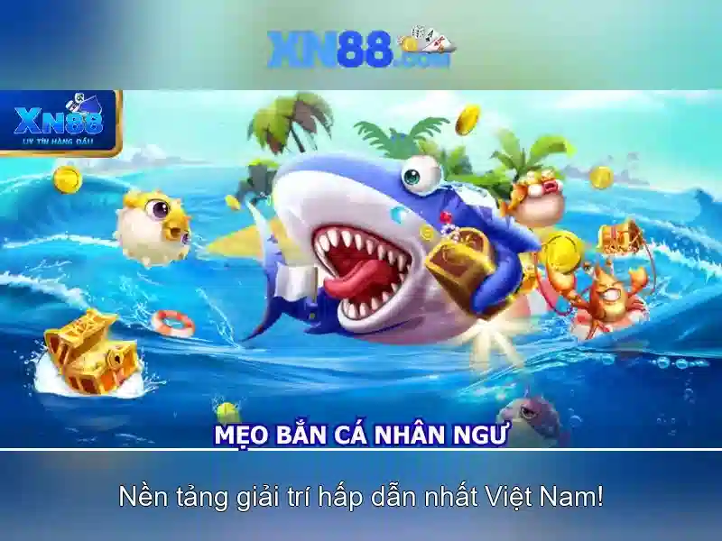 An toàn và trách nhiệm khi chơi
