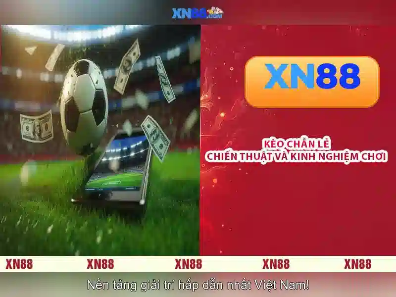 Nguồn gốc và sự phát triển