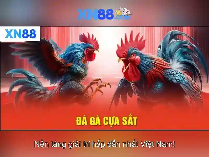 XN88: Khám phá nền tảng trò chơi trực tuyến