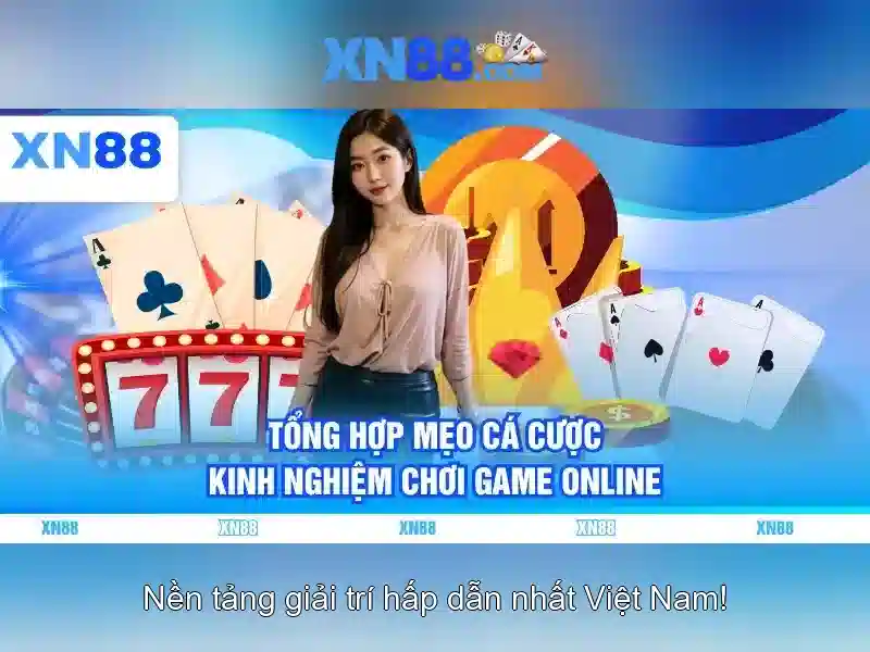 Lịch sử và nguồn gốc