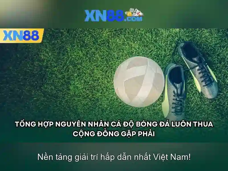 Nền tảng và sản phẩm