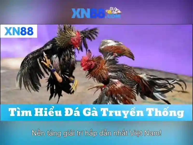 xn88 là gì