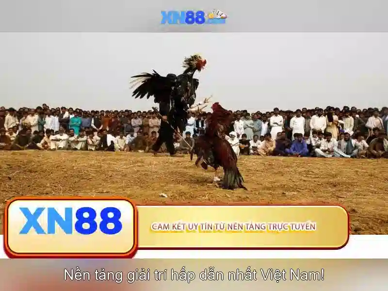 xn88: Tổng quan, an toàn và chi tiết hướng dẫn