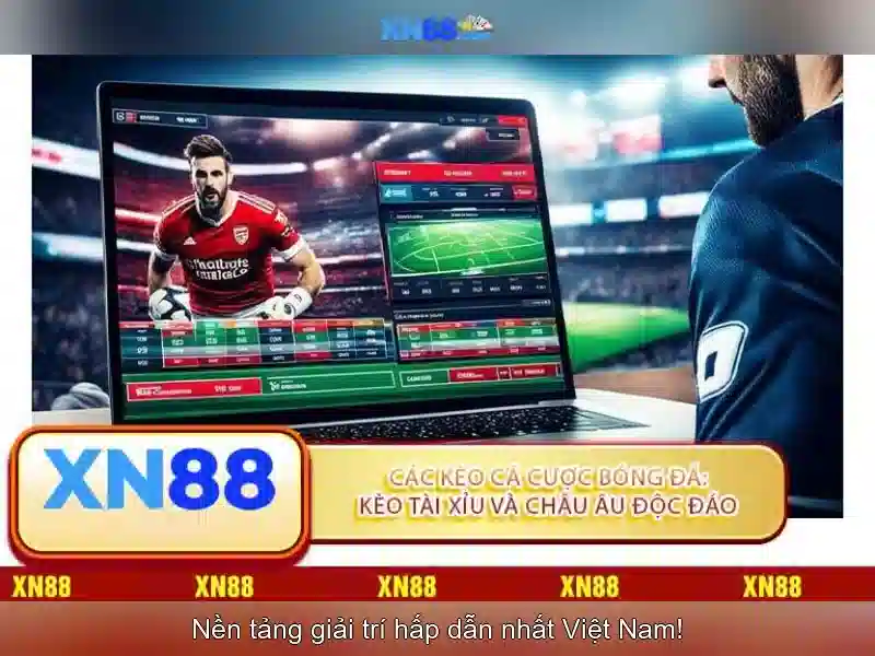 <!--IMG_PLACEHOLDER alt>Trải nghiệm người dùng và phản hồi từ cộng đồng-->