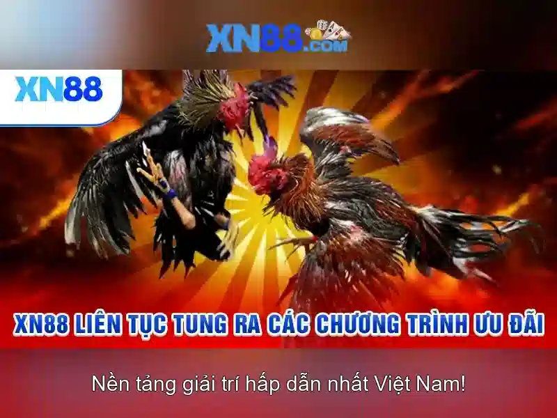 Đăng ký và tận dụng khuyến mãi Đăng ký và tận dụng khuyến mãi
