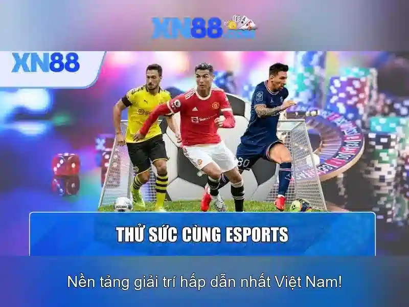 An toàn và bảo mật\n