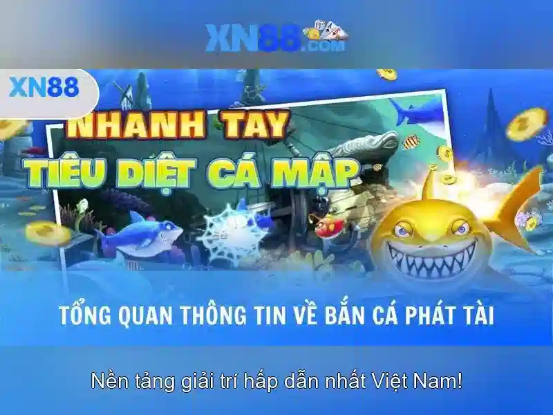 Xn88: Tổng quan về nền tảng cược và giải trí trực tuyến