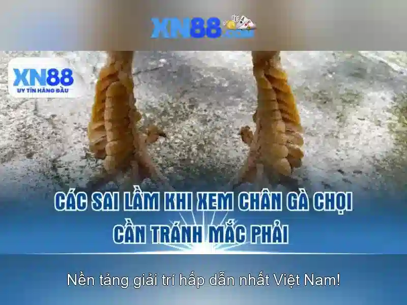 xn88 nổ hủ – Tổng quan chủ đề và giá trị cốt lõi
