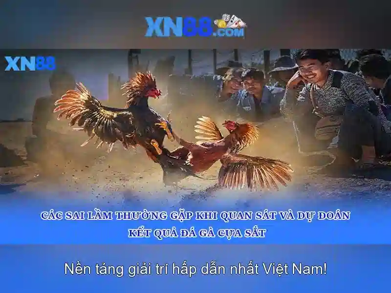 Khám phá các trò chơi và sự kiện Khám phá các trò chơi và sự kiện