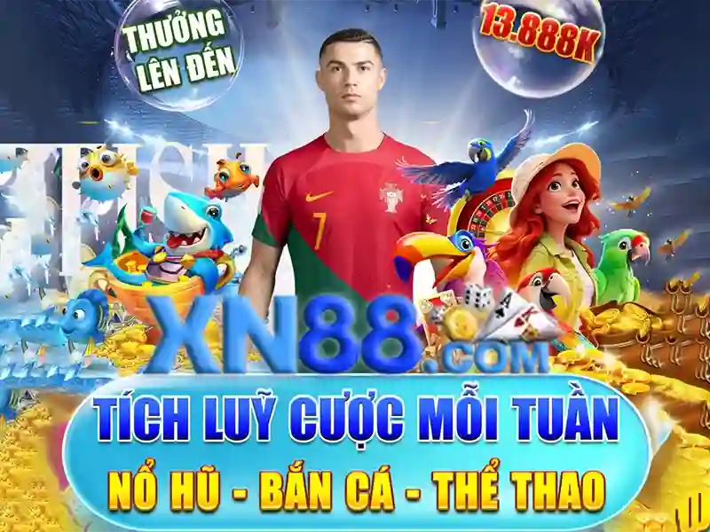 Giới thiệu về xn88\n